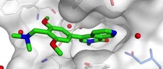 npj Digit. Med. | 基于绑定位点接触图的双模态神经网络助力药物靶点亲和力预测