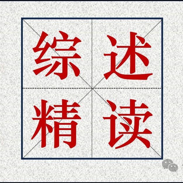 癌症中的染色体碎裂 | Nat.Rev.Cancer |