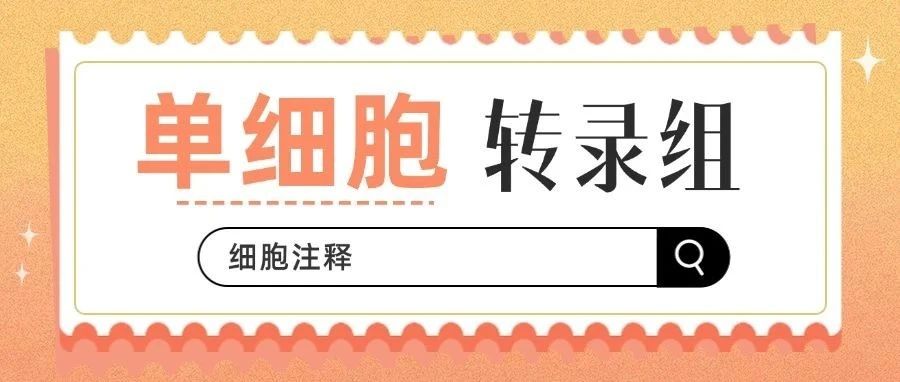 单细胞转录组｜单细胞数据分析中细胞类型的智能识别与注释