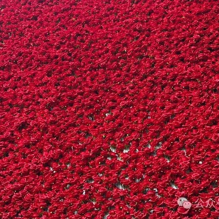 电生理小信号采集系统-依托KS109x的实现