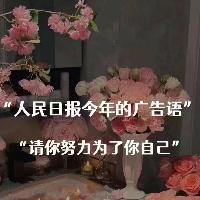 作者头像