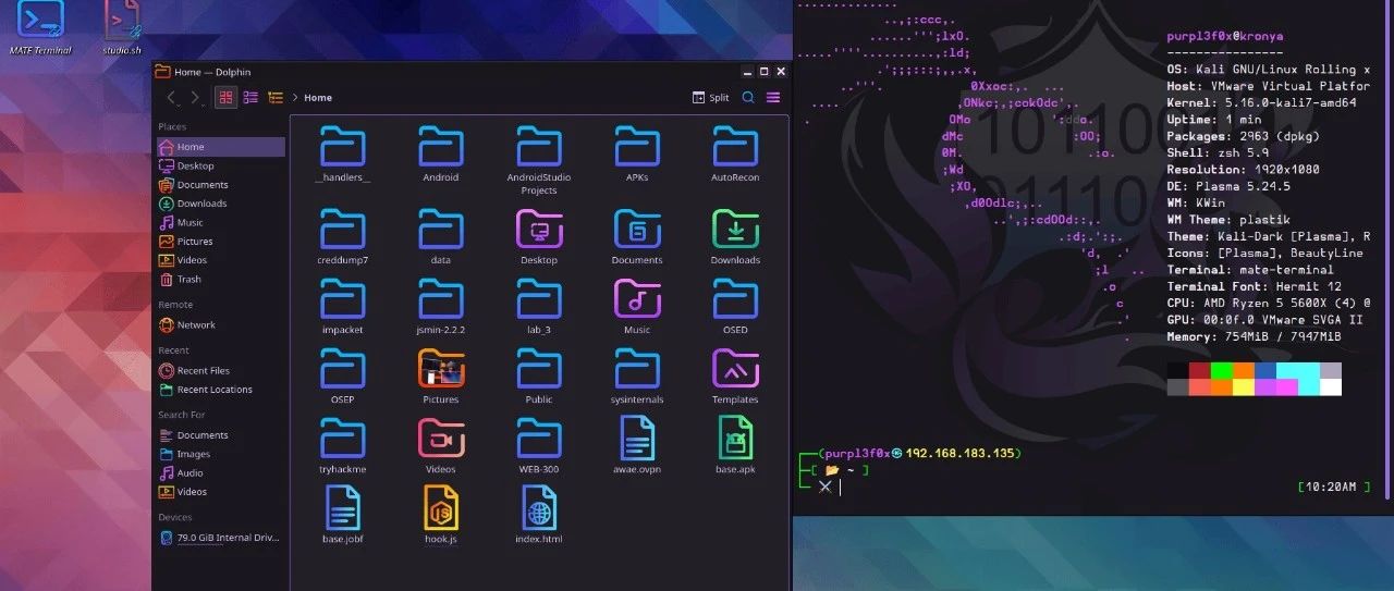 如何打造属于你Kali Linux 之终端改造（一）