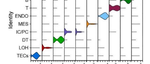 高分杂志同款单细胞堆叠小提琴图：Mol Ther（IF=12.4/Q1）