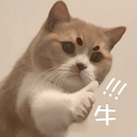作者头像