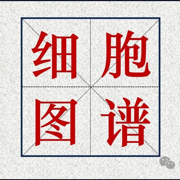 细胞图谱 | NatMed | 人类血管细胞的器官型图谱