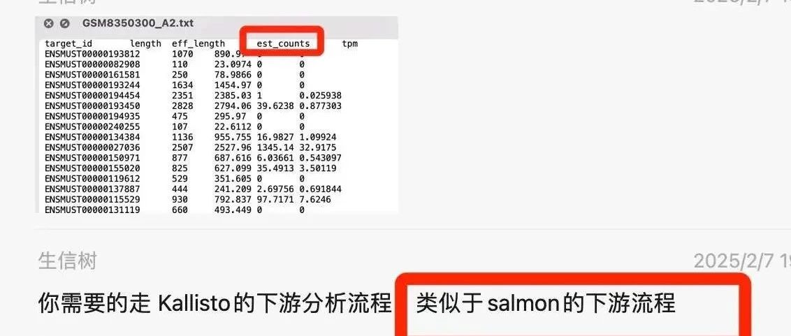 Kallisto 软件的上、下游分析流程