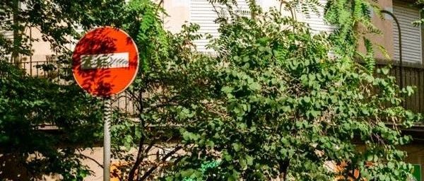 操作系统国产化改造：存量业务迁移的技术挑战与破局之路