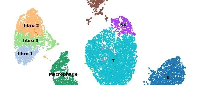 百万级别的单细胞数据是怎样完成注释的(python)