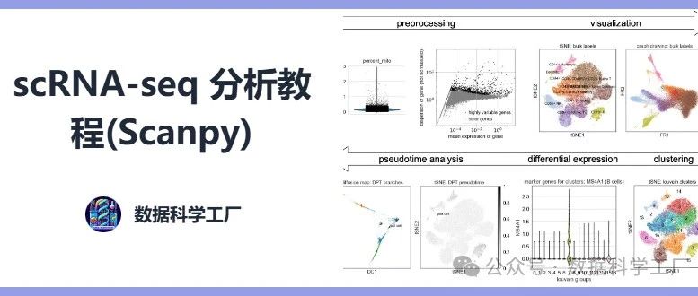 Scanpy 分析 scRNA-seq数据|质控