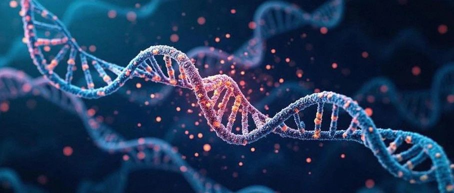 Nat. Methods｜Nucleotide Transformer：人类基因组大模型新突破