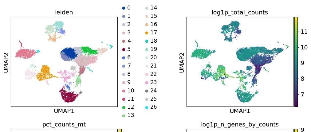 Scanpy 分析 scRNA-seq：细胞类型注释