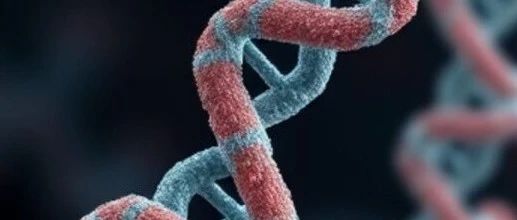Nat. Mach. Intell. | 机器学习助力酶最适pH值的智能预测