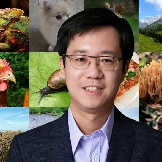 何恺明等降维打击！彻底颠覆AI生图，无需预训练一步到位