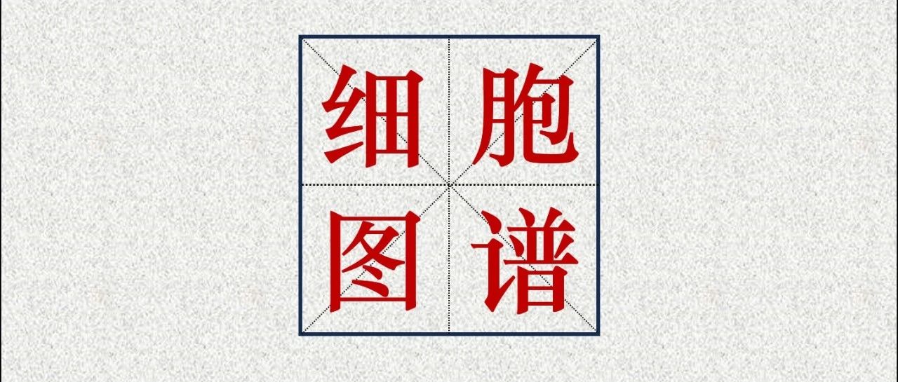 细胞图谱 | Cell | 人类免疫细胞中的亚洲多样性