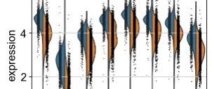 Scanpy 分析 3k PBMCs：寻找 marker 基因
