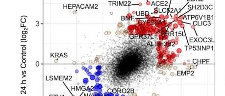 顶刊 Science 文献两分组差异结果比较图复现