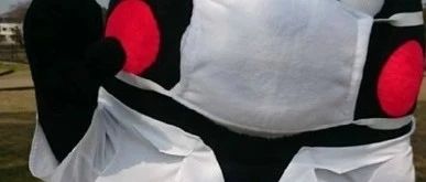 有些人嘴巴真严，10个Powershell命令，为啥不告诉我！