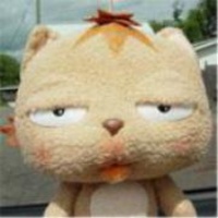 作者头像