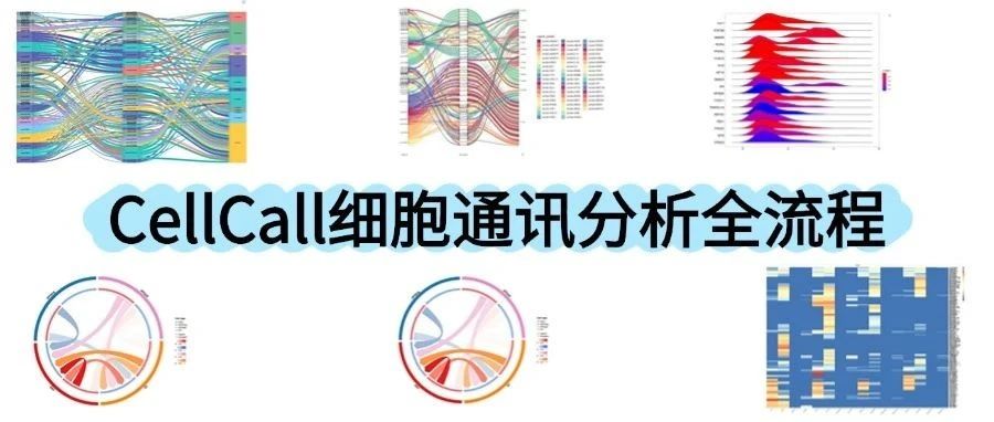 保姆级教程 | CellCall细胞通讯分析全流程