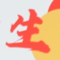 作者头像