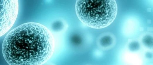 Cell. Syst. | 几何深度学习融合多实例学习，解读3D图像预测药物效果