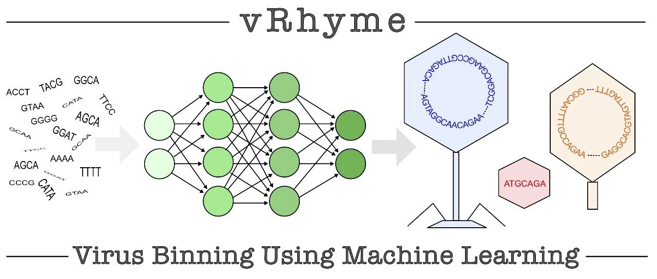 宏病毒组binning工具—— vRhyme教程