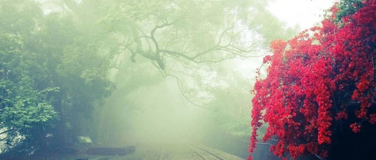 【翻译】什么是 文件 IO