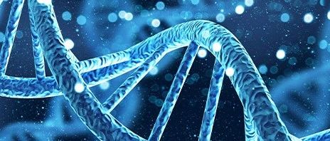Nat. Commun. | CodonTransformer：使用上下文感知神经网络的多物种密码子优化器
