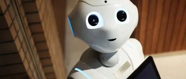 关于我在手机上跑了个AI ，不用联网、不用 API key，它居然能自己操作 App 了