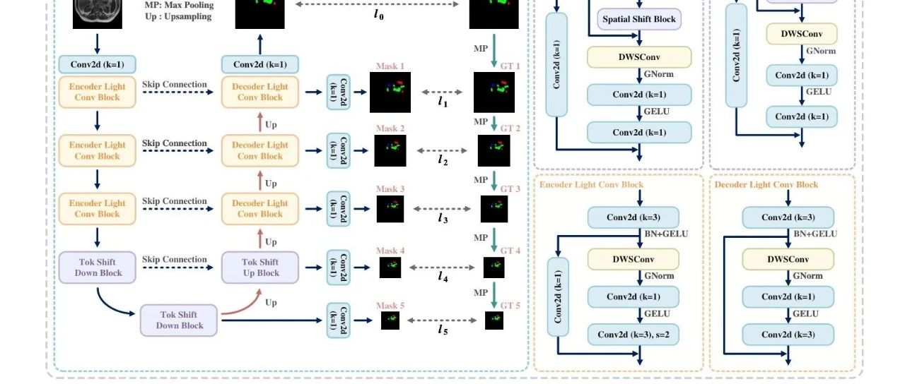 LSU-Net：融合轻量级卷积与Token化位移块，动态权重多损失设计助力医学图像高效分割 ！