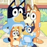作者头像