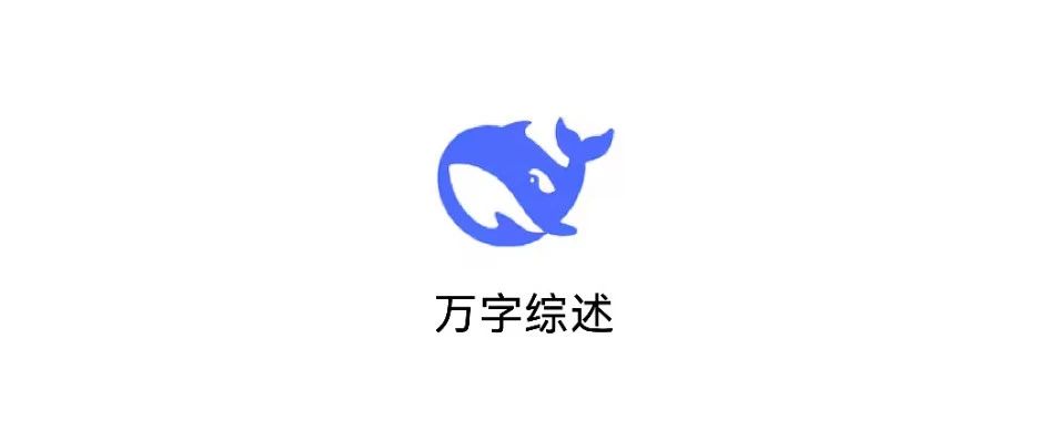 DeepSeek R1 最新全面综述，近两个月的深度思考！