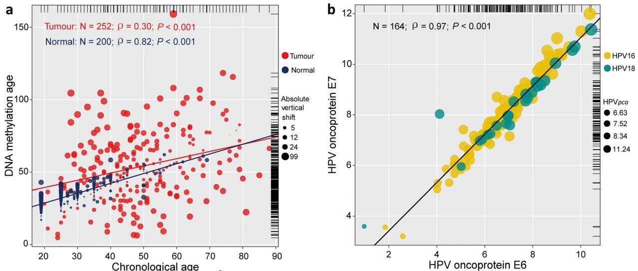 复杂相关性散点图复现（ggplot2绘图的层层递进）