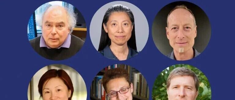 Meta刚被黑客骑脸，安全教母空降救火，这盘棋比你想的大