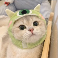 作者头像