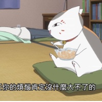 作者头像