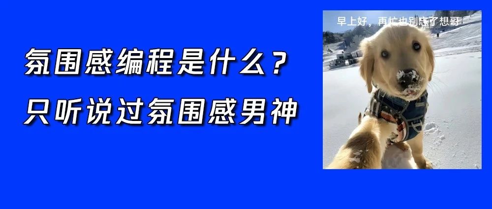 氛围式编程什么鬼！？