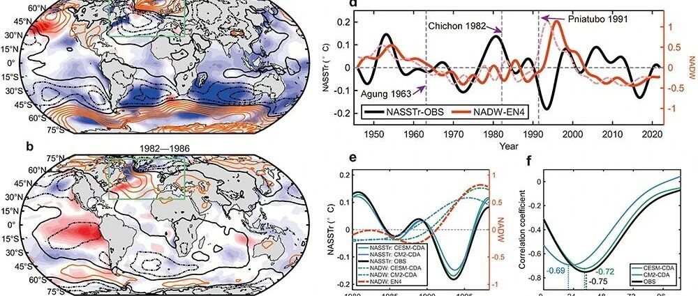 中国海洋大学张绍晴教授团队最新Nature子刊！