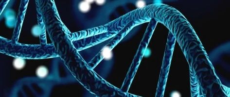Nat. Commun. | 预测49种人体组织的基因表达异常，AbExp解释基因表达可变性
