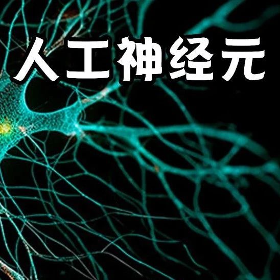 比人类神经元快10亿倍！港中文、中科院「超级大脑」：1秒识图3479万张