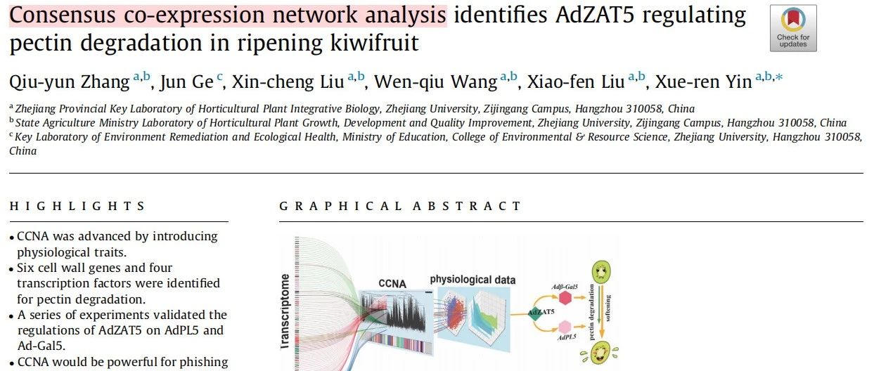 WGCNA升级：CCNA+WGCNA筛选更可靠的候选基因