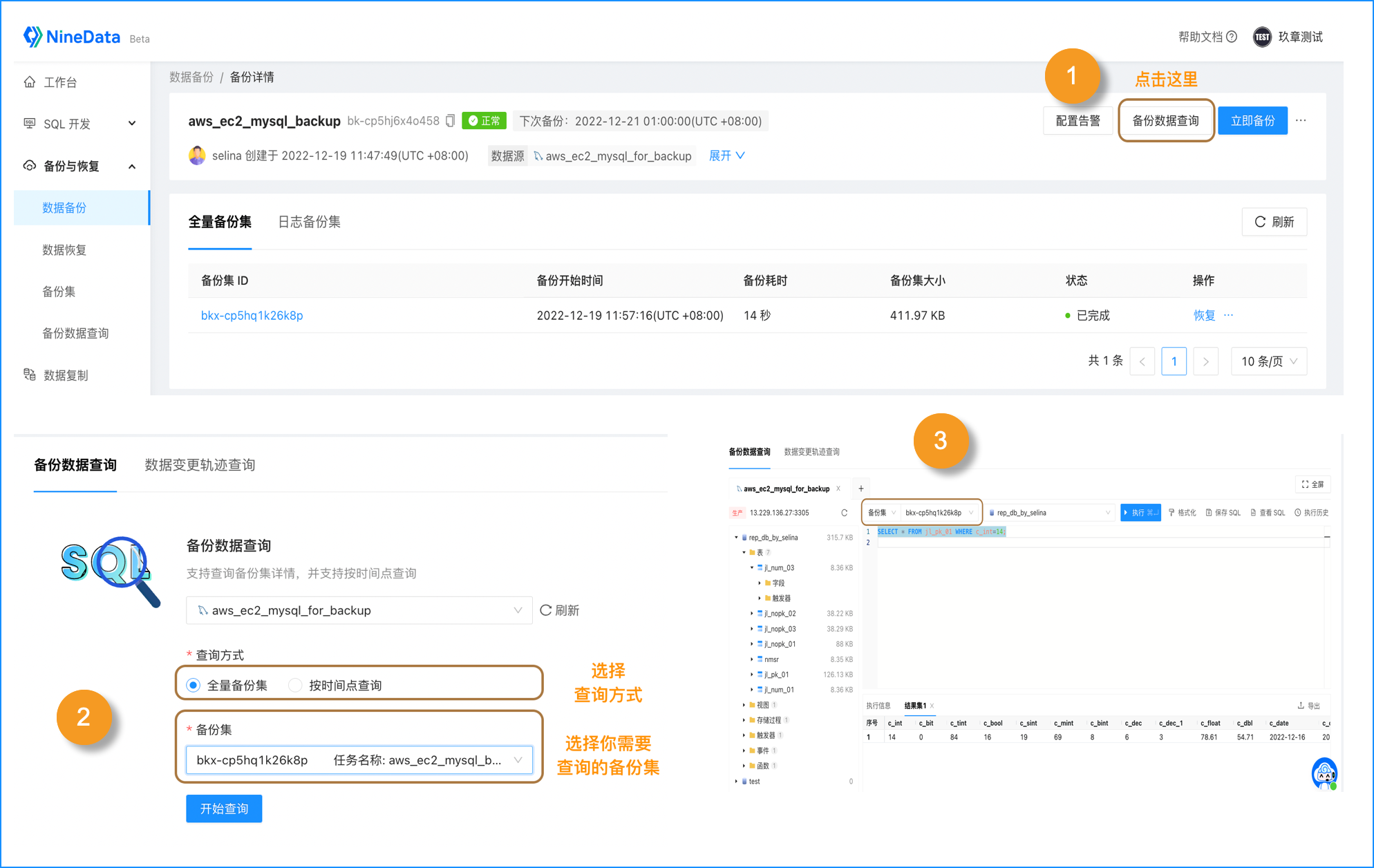 NineData SQL进行备份数据的查询