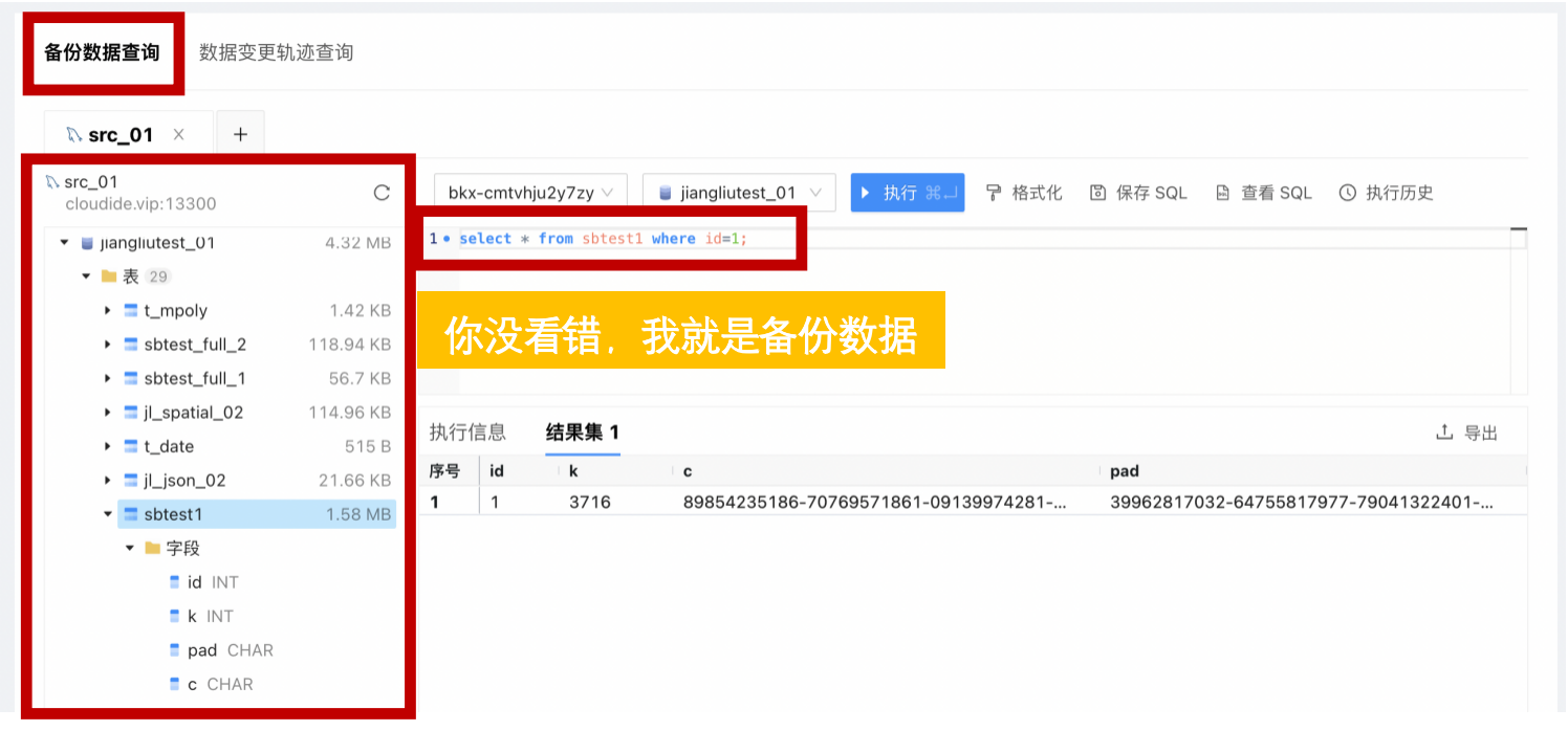 NineData实时备份数据查询