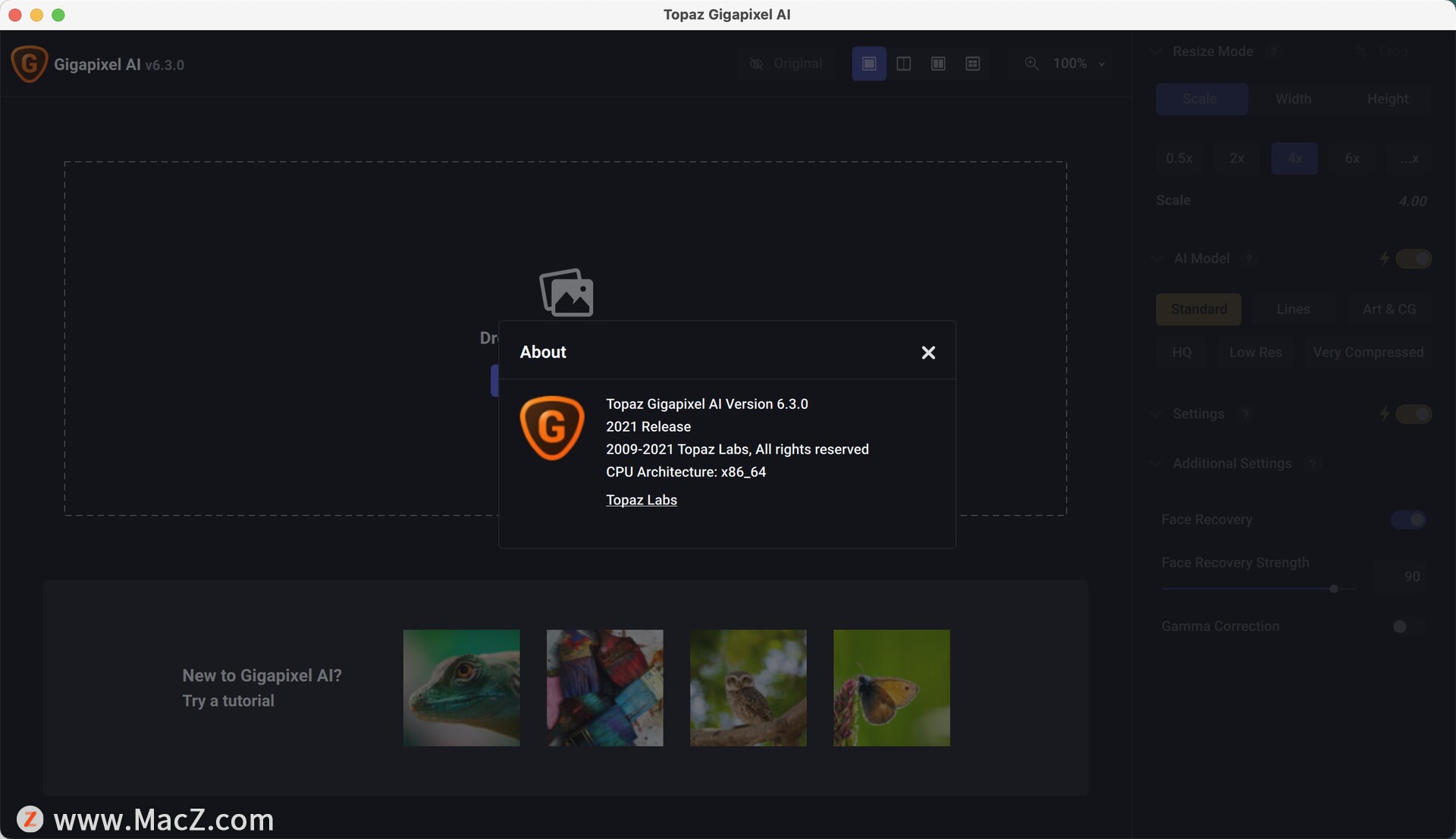 Topaz Gigapixel AI for Mac(图片无损放大软件)v6.3.0中文版