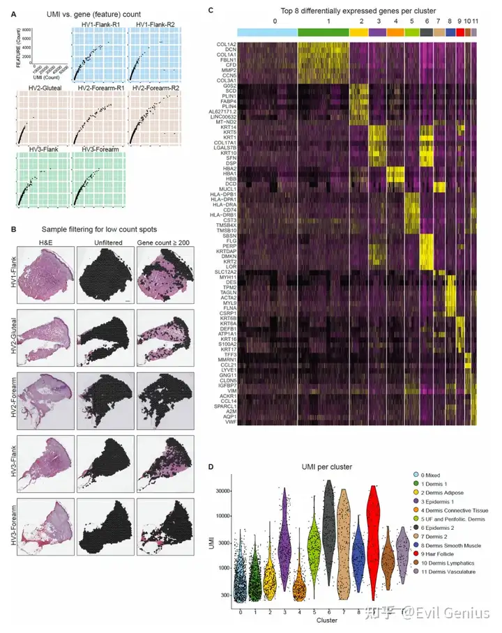 Spatial transcriptomics quality control metrics, pre-processing, and heatmap of top differentially expressed genes