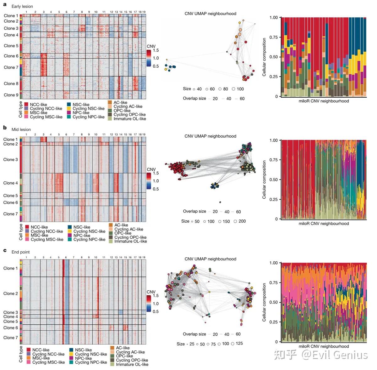 方法更新----单细胞cnv分析与cna neighbourhood analysis