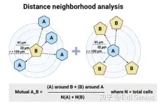 分析优化----关于空间原位数据的邻域分析优化