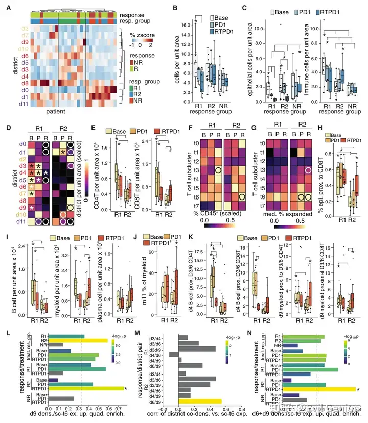  Responding tumors comprise two spatially distinct subgroups