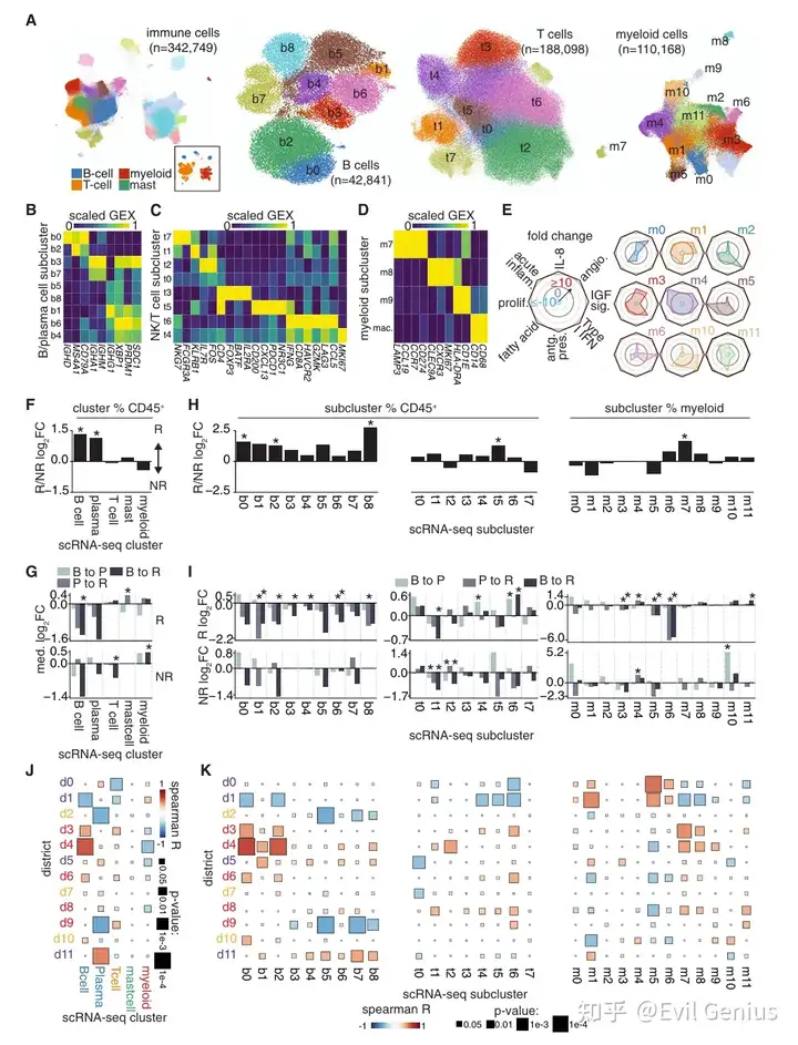   scRNA-seq populations associated with response and spatial features