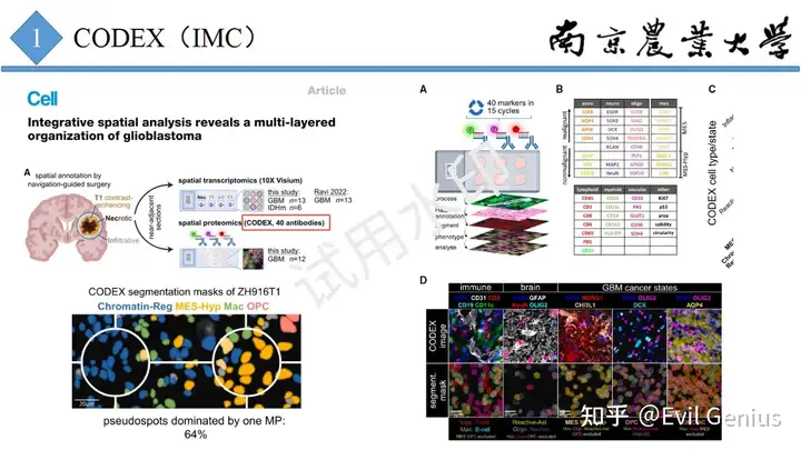 第26课PPT--CODEX（IMC、mIHC）基础分析梳理-腾讯云开发者社区-腾讯云